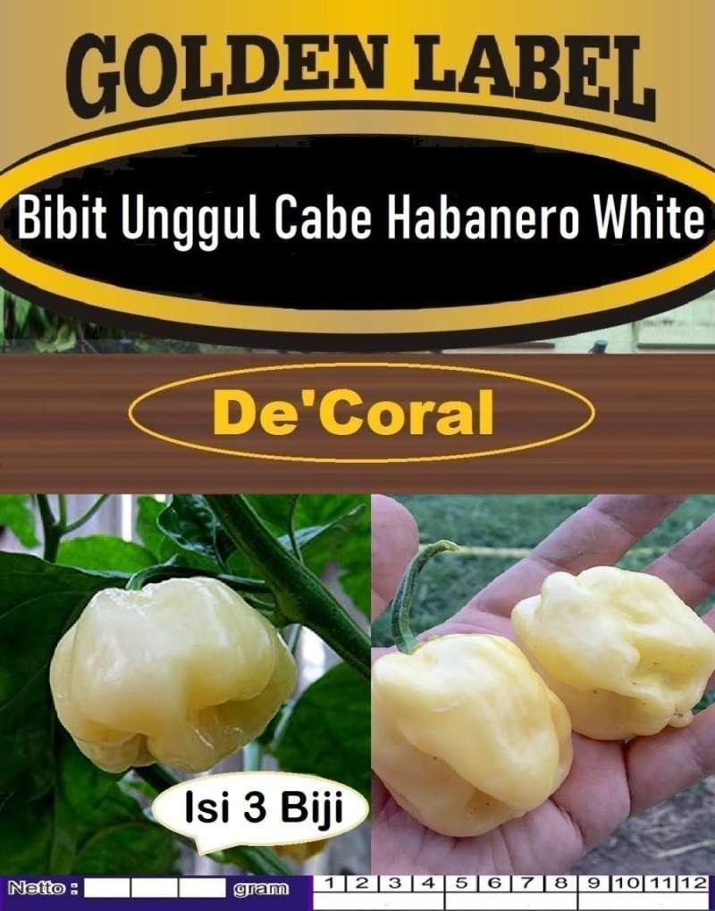 Daftar 10 Merek Habanero Aman yang Direkomendasikan